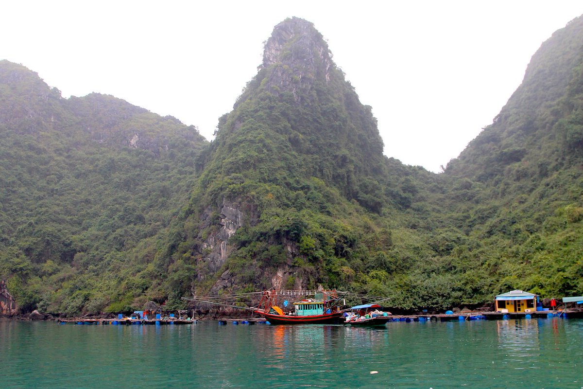 UnravelTravelTV's tweet photo. Heritage Line cruise visit to a floating village Ha Long Bay #Vietnam - Unravel Travel TV #AFT2019 #ASEANTourismForum #ATFVietnam2019 #TravelByASEAN #TimelessCharm #VietnamTourism #ATF19 #MeanwhileinASEAN #ASEANPowerofOne #VietnamCharm @HeritageLine #HaLongBay #UnravelTravelTV https://t.co/urQQx42eGl