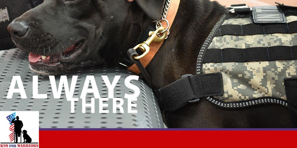 k9sforwarriors's tweet photo. Service dogs are an effective PTSD treatment option because they are “Always There.” #K9sForWarriors #ServiceDogsWork 

https://t.co/dZdYAlP3uY https://t.co/6cTbu8WViV