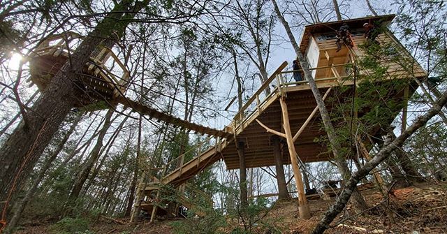 treehouse_guys's tweet photo. Nice shot of the whole zone😁
#thetreehouseguys #treehouse #treehouseguys #treehouselife #cabin #aisle6 #kavinatree #customcarpentry #carpentry #treehousebuilder #woodworking #customwoodworking #lifeinthetrees #ilovemyjob #arbormonkey #treehouses #tr… https://t.co/syk2pqP3zf https://t.co/fyWACX2UwX