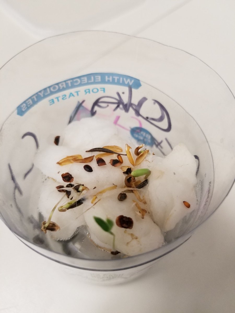 Tresnola's tweet image. Soil-free planters of wildflowers for pollinators. @CountryDay @CCDdreamteam #ccdx2019 #engineeredforfun #ReduceReuseRecycle