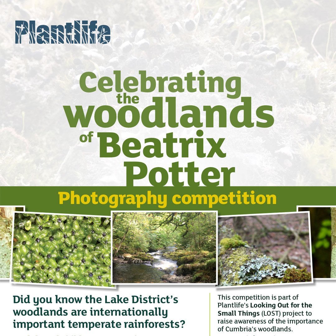 Capture the beauty found within the woodlands of the #LakeDistrict and submit your images into <a href="/Love_plants/">Plantlife</a> photography competition. A touring exhibition of winning photos will travel across #Cumbria. #Plantlife #photography #competition #woodlands ow.ly/bvRH30o1JiK