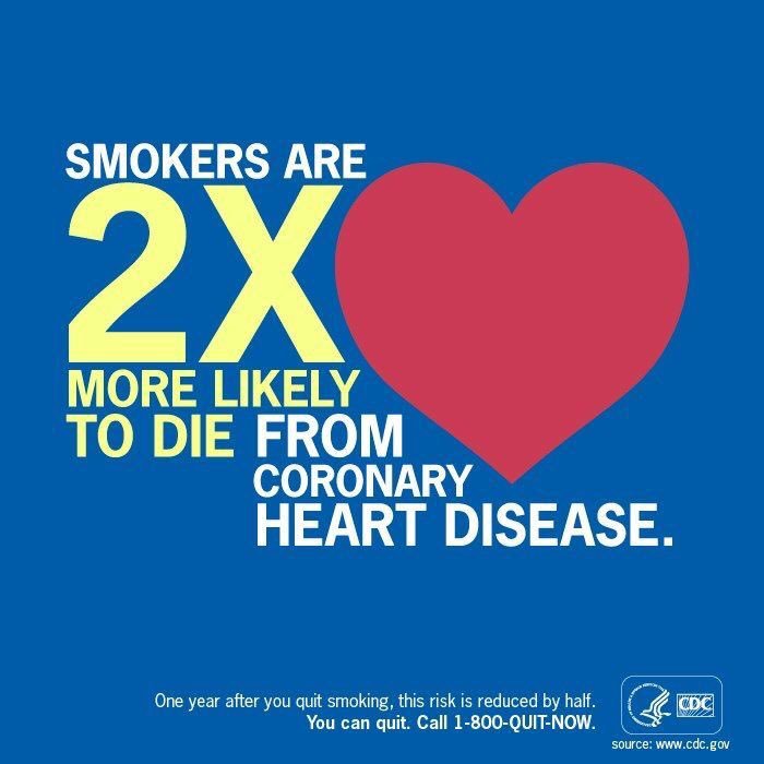 Good Morning Sycamores! Did you know?