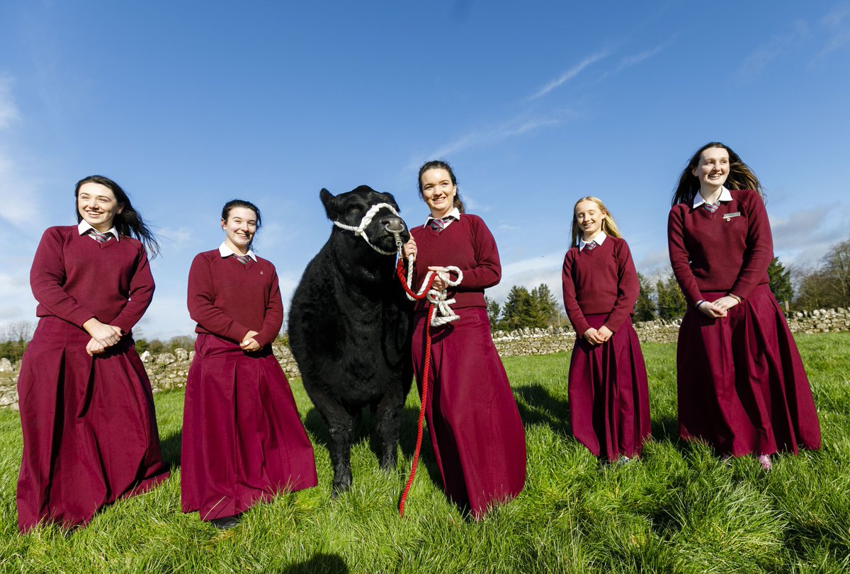 IrishAngusBeef's tweet image. We are delighted to announce Laurel Hill Secondary School, #Limerick as the winners of the Certified Irish Angus Schools competition in association with @KepakGroup and @ABPIreland 🎉 🎉