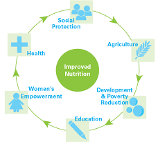 YazmiUSA's tweet photo. Yazmi's integrated information infrastructure solution provides the #SeqotaDeclaration with a unique opportunity to create synergy between key sectors. @PMEthiopia @MoH @amirabiy @fitsumaregaa @lidet1 #MultiSectoralCollaboration #EndMalnutrition https://t.co/RdaVA2GSSV
