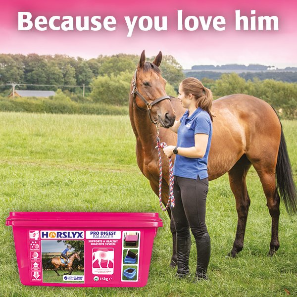 Trilanco's tweet image. For 2 days only, we've a special trade offer on @Horslyx's NEW Pro Digest Balancer! Login to trilanco.com or call 01772 754844
🐎Pro Digest Mini Licks 12 Pack (CTH0039)
🐎Pro Digest Balancer Lick 4 x 5Kg (CTH0165)
🐎Pro Digest Balancer Lick 15Kg (CTH0170)
Ends 15/3/19