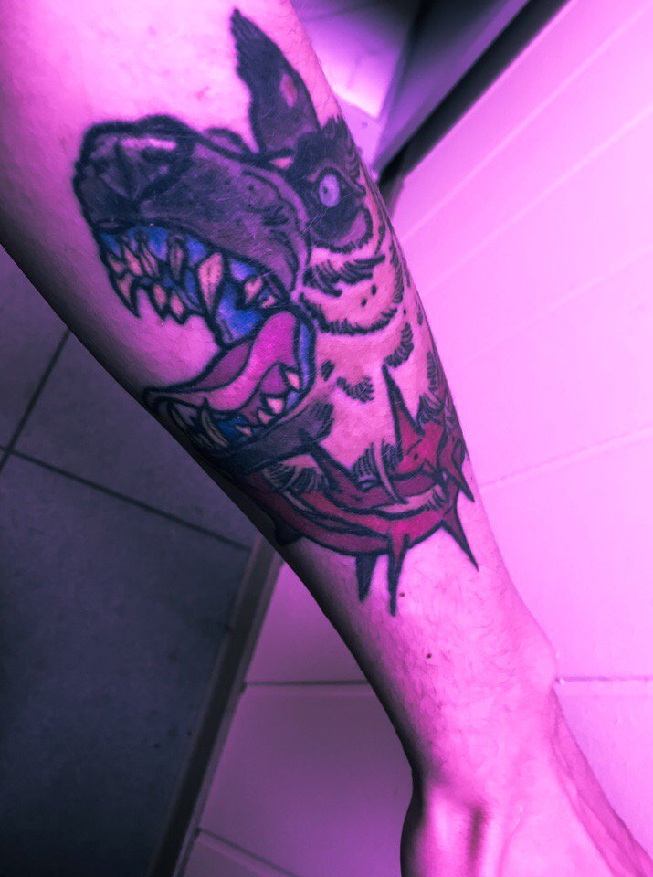 _VSTRN's tweet image. пёс не животное, пёс — это выбор