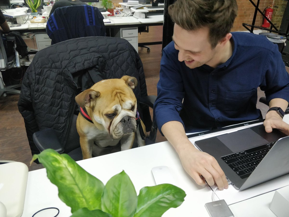 jabba_CEO's tweet photo. sometimes when your employees aren't pulling their weight you have to show that you're not impressed!! #hardconversations #keepingthebarhigh https://t.co/a971LSQBgk