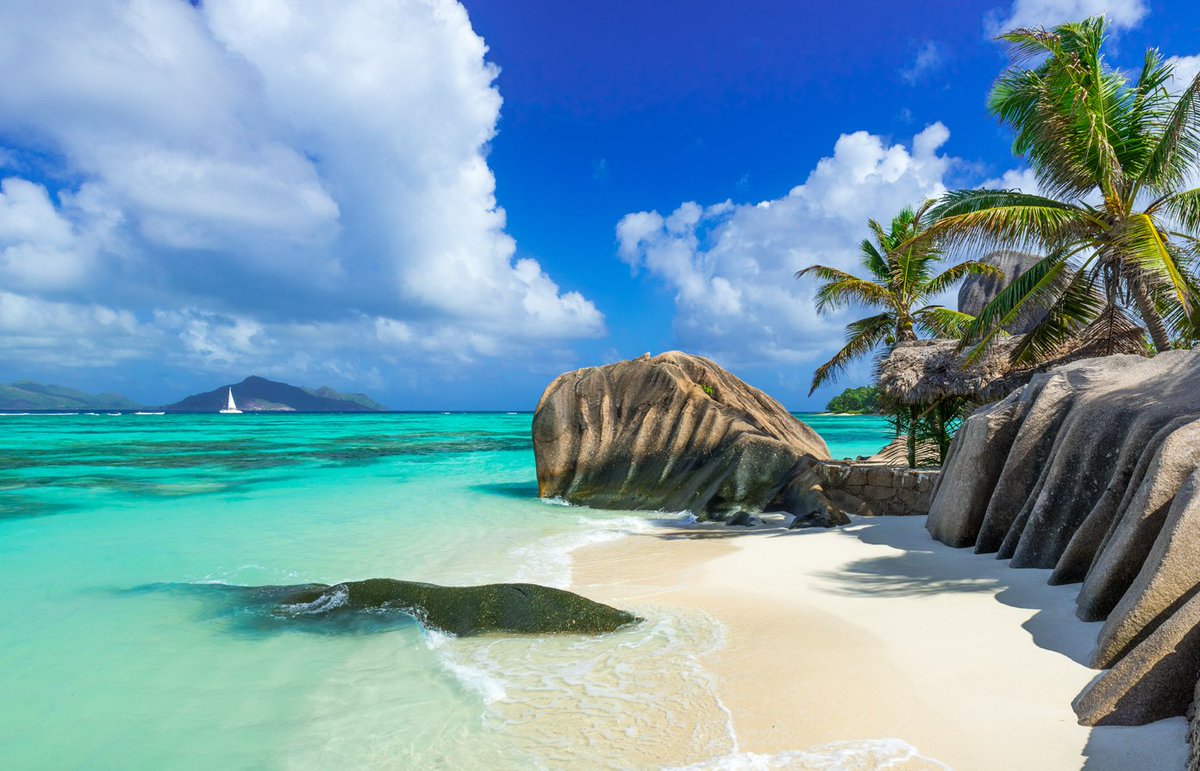 Canalmar's tweet photo. Discover the Seychelles 🌴: https://t.co/Gcp7RKX09N https://t.co/iXlGF1nEel