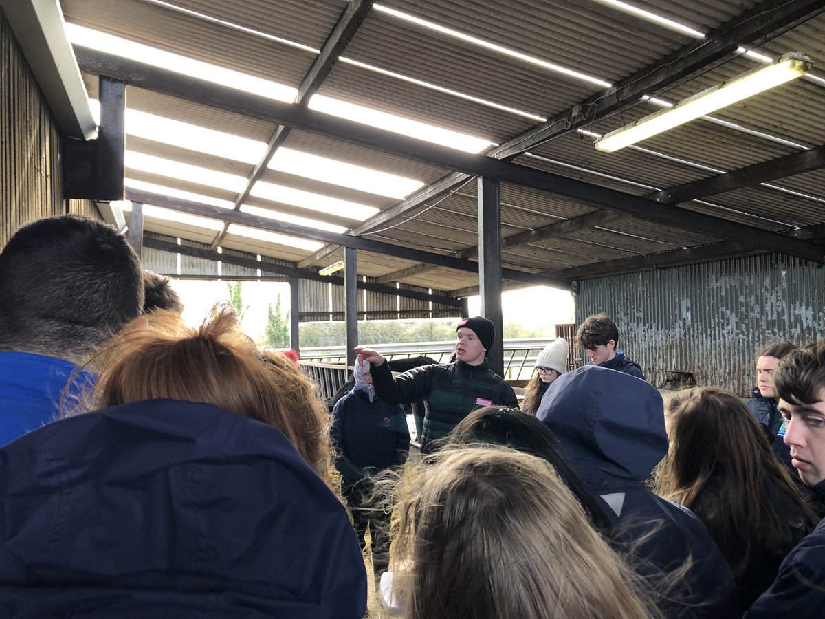 farmersjournal's tweet photo. Beef specialist @MatthewHalpin22 giving today’s #FarmWalk19 students a talk on the diet of the animal 🐮👌 @AgriAware https://t.co/khUNSSWpI9