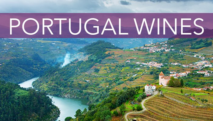 JorgeCarmo9's tweet photo. #winetourism #enotourism #wine #Portugal 🇵🇹🍇🍷😎 Portugal tourism looks to put wine firmly on the map. Authorities are to launch a plan to make Portugal a reference in terms of enotourism. https://t.co/Ez2CyLCE3v https://t.co/wF8Ueq0RT8