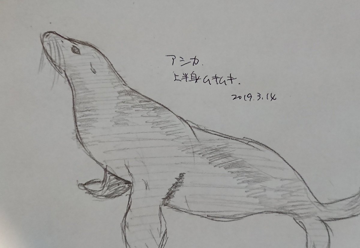 絵をうまく描けるようになれたらいいなと思って 結局3か月描き続けた Togetter