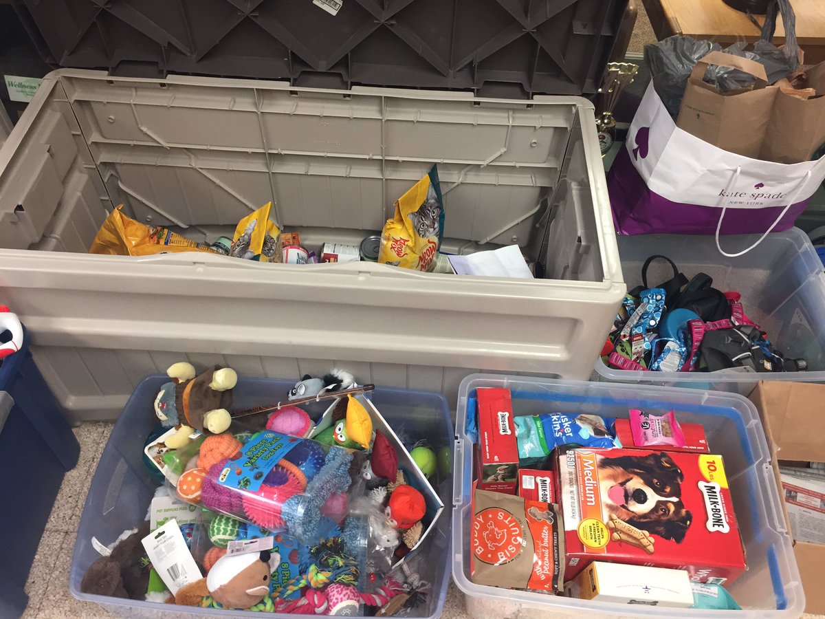 MrsWojick's tweet photo. OUR PBL PROJECT WAS A HUGE SUCCESS!!! Thank you, SELDENS families!! Local animal groups are definitely in a much better place with their supplies!!! 🐾❤️🐾 @MrsWojick @MSackadorf @mrs_kerr5 @mrsstock18 @Ms_NolanGr5 @keithsager @LoriHaskins @SeldensLanding #BRIGGS #HART #lcps19 https://t.co/dNAJAugmqX