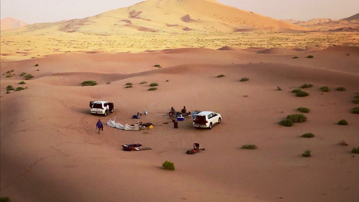 peakdynamic's tweet image. Latest News from Peak Dynamics - Arctic and Oman trips
 - mailchi.mp/peak-dynamics.…