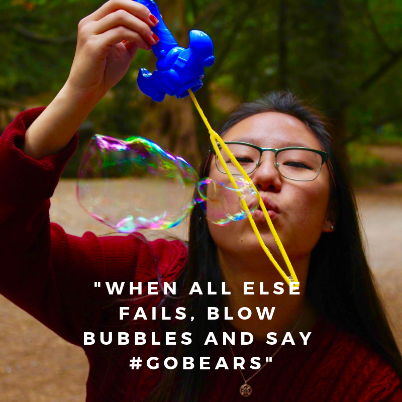 BerkeleyNuc's tweet photo. "As Berkeley students, [Alumni &amp; Current Students] we say #GoBears to celebrate, cultivate, and motivate each other in the good and bad times" #CalBigGive #BerkeleyNuc Please donate today! https://t.co/ObDMx9IBxs https://t.co/QTG1L28bDJ