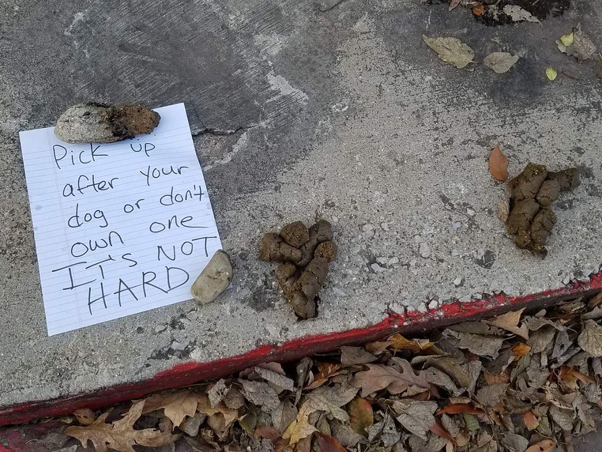Poop_Slayer7's tweet photo. @jacquisneal Ppl at my apartment complex leave their dog shit in the grass all the time so I moved some in front of their doorstep cuz I'm petty like that. https://t.co/wJip7GWoF8