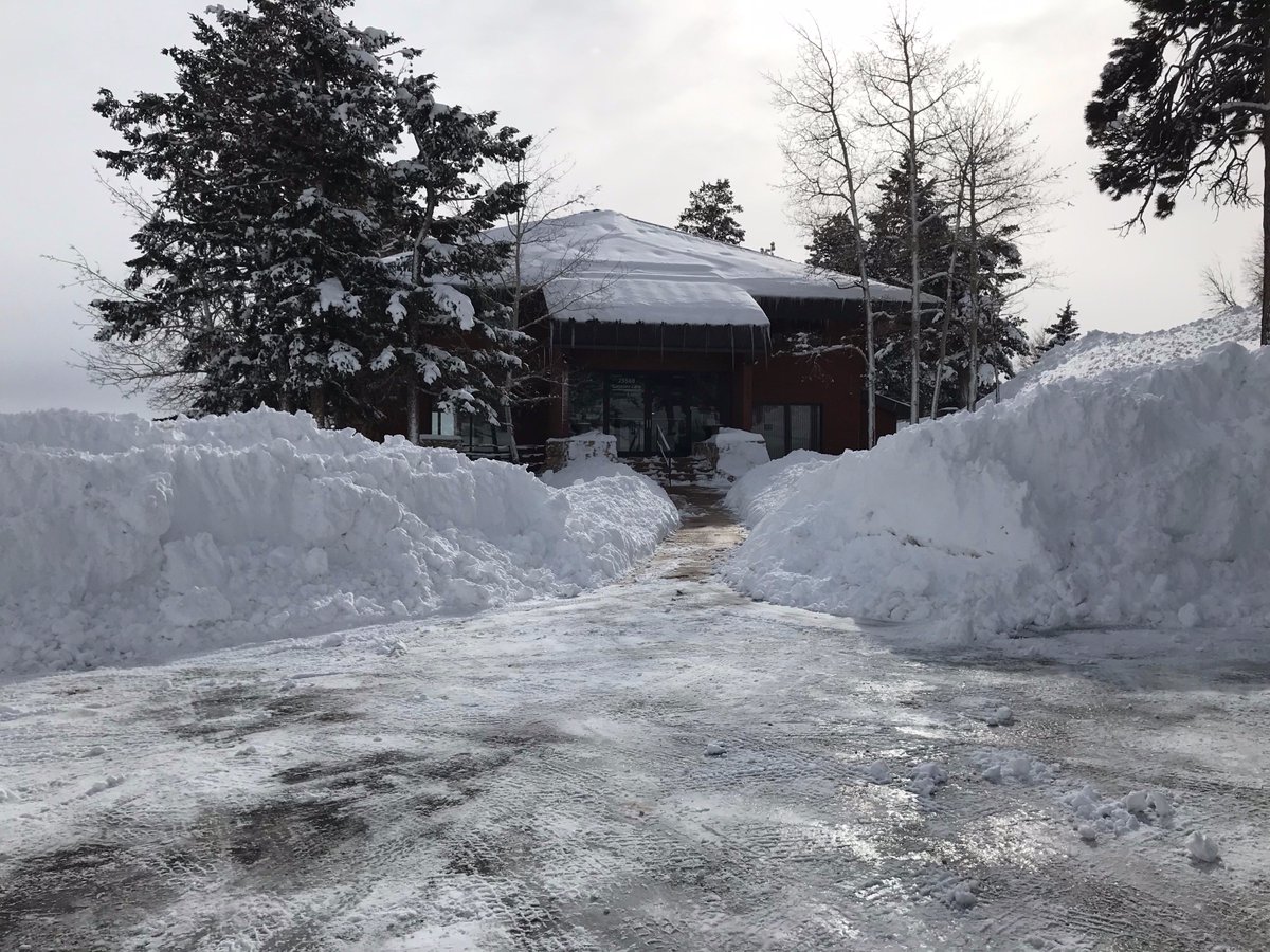 That was a snowstorm! #bombcyclone #dayafterbeauty