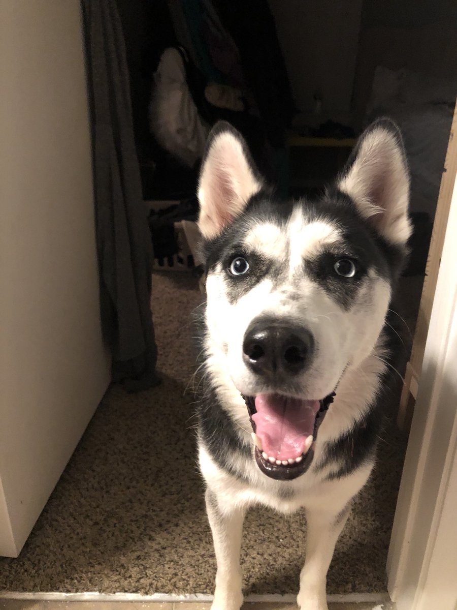 PaulinaW's tweet photo. Who else is excited about tomorrow being Friday?? https://t.co/hFj4qd4266