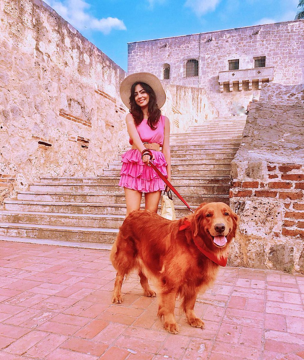 CiudadColoniaDR's tweet photo. Come with your pet too! Enjoy the ride and #PetFriendly places of the #CiudadColonialDR.
📸: Veronica Guzman https://t.co/RbXzTEX4ys