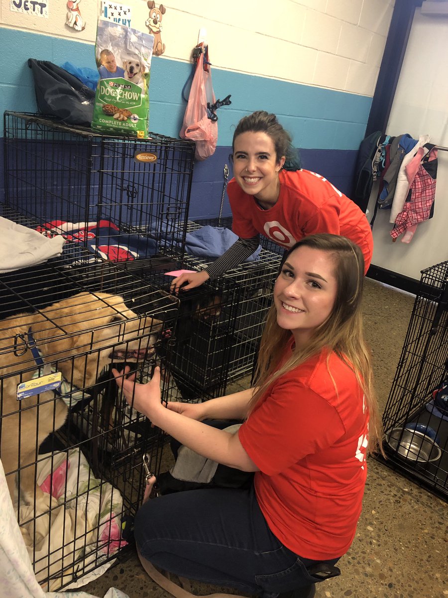 Katie Williams tweet media