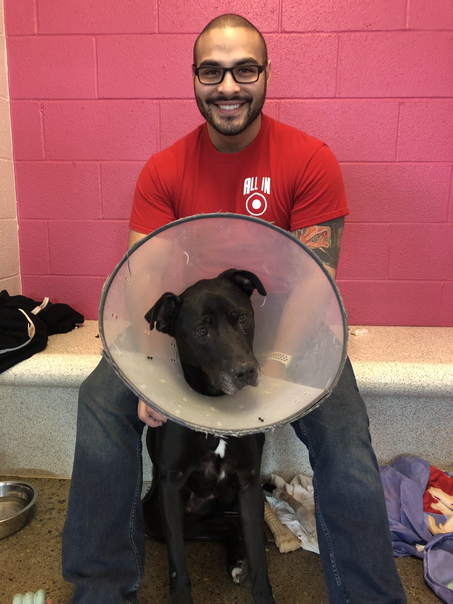 Katie Williams tweet media