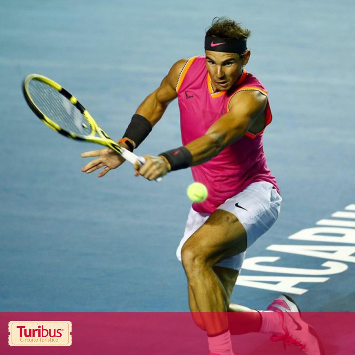 GuiaTuribus's tweet photo. 🎾El Abierto Mexicano de Tenis es una magnífica celebración del tenis de alto nivel. Este evento ha ido creciendo en todos los sentidos y hoy es uno de los eventos más relevantes de nuestro país.
Para leer más sobre el Abierto Mexicano de Tenis visita: https://t.co/BfCFRFDZ3z https://t.co/ilHOrPDW34