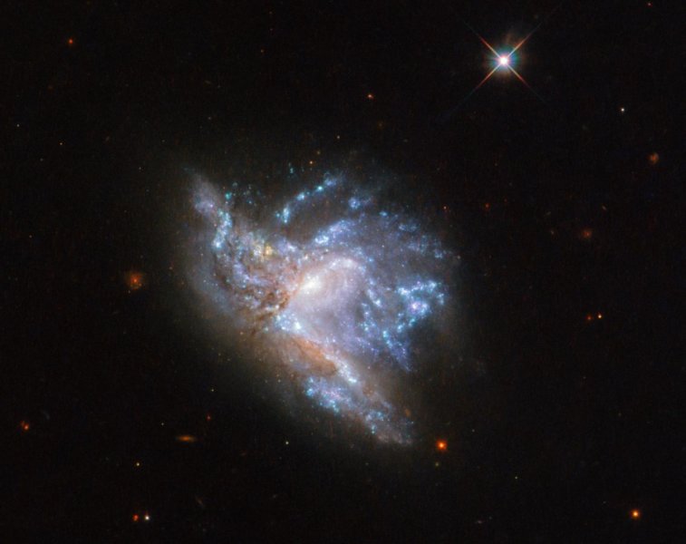 TristanLLG's tweet photo. Located about 230 million light-years away, NGC 6052 are two colliding galaxies first discovered in 1784. A long time ago, gravity drew the two galaxies together into the magnificent sight we can now observe! #2019ES2232 https://t.co/IVLHKEWZlh