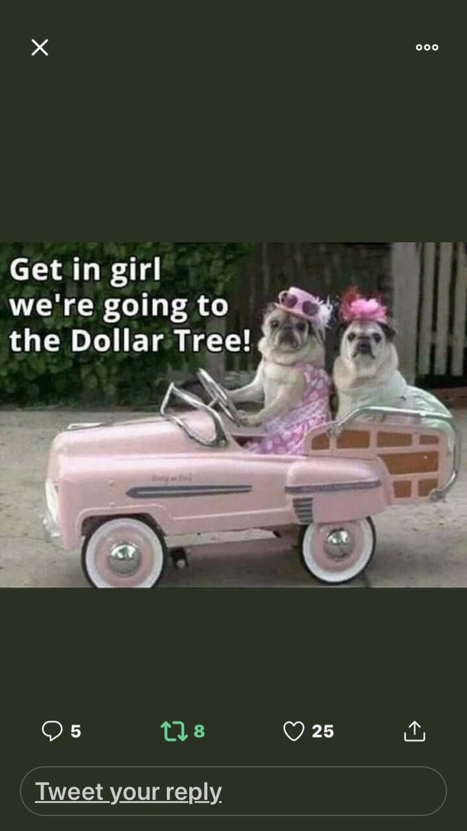 Joyannah73's tweet photo. #IAmInDebt but I still can have fun! https://t.co/c0yJHB9fwo
