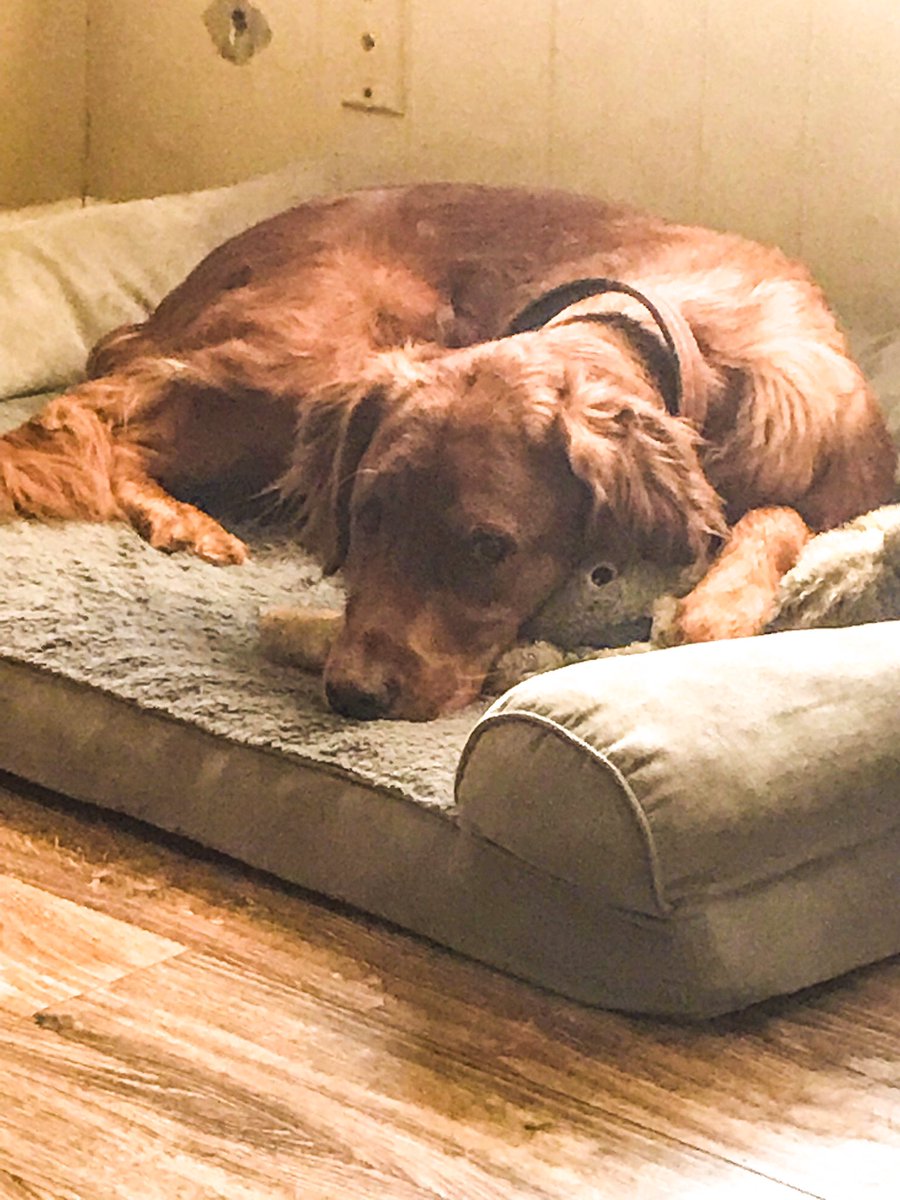 Italy02's tweet image. Just a kid cuddled up with her baby doll ❤️