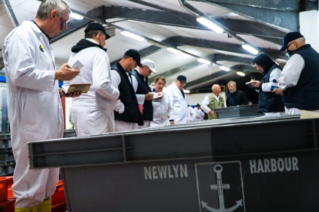 NewlynFishing's tweet photo. Having spent a ‘Very #Gales Uncomfortable’ 24 Hrs “Ocean Pride” Now Landing much welcome #DayFresh #CornishPollack &amp; Quality #Ling for #FishFriday NewlynMkt!! #shoplocal @FisheliciousUK @NFF_fishmongers @NFFF_UK https://t.co/fxOhG2MThm