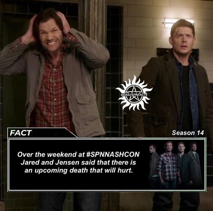 Winchesterjerk1's tweet photo. Перевод:
"На выходных в #SPNNASHCON Джаред и Дженсен сказали, что наступит смерть, которая причинит боль."
Мне так страшно... Кто же может умереть?😓🙄😥😫 https://t.co/0hxoFRBOz8