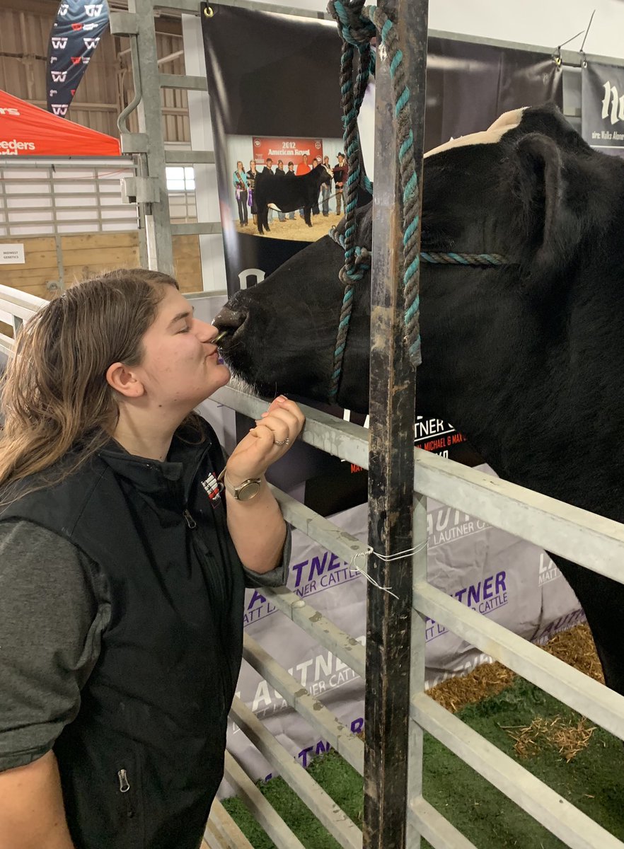 mattlautner's tweet photo. Emily Barkheimer &amp; Hannah Smedely Showing MLC “Style &amp; Profile” Some Affection During Thursday Display At Ohio Beef Expo! #MLC #OhioBeefExpo #StyleNProfile 
-
Call/Text Matt Lautner Cattle Office At 515.391.9540 To Order Semen For Shipment Or For Pickup During The Ohio Beef Expo https://t.co/SqRhAA3Cpy