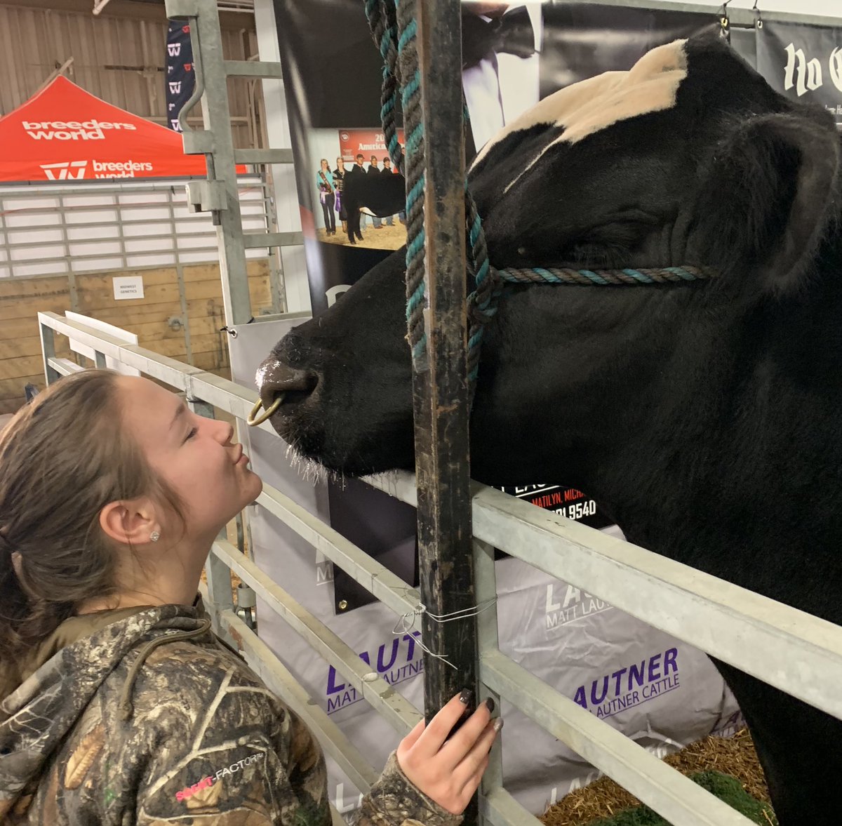 mattlautner's tweet photo. Emily Barkheimer &amp; Hannah Smedely Showing MLC “Style &amp; Profile” Some Affection During Thursday Display At Ohio Beef Expo! #MLC #OhioBeefExpo #StyleNProfile 
-
Call/Text Matt Lautner Cattle Office At 515.391.9540 To Order Semen For Shipment Or For Pickup During The Ohio Beef Expo https://t.co/SqRhAA3Cpy