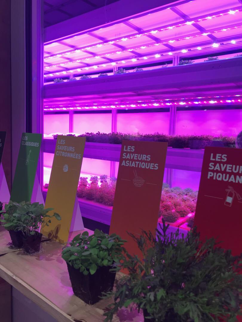 ChristopheBechu's tweet photo. C’est avec une très grande satisfaction que je vois ce soir un rêve se réaliser ! #UtopiHall ce projet de #FermeUrbaine au cœur du #MIN voit le jour en accompagnant de nombreuses initiatives communales pour développer l’agriculture urbaine au sein de notre ville #Angers https://t.co/sCN8MufNYn