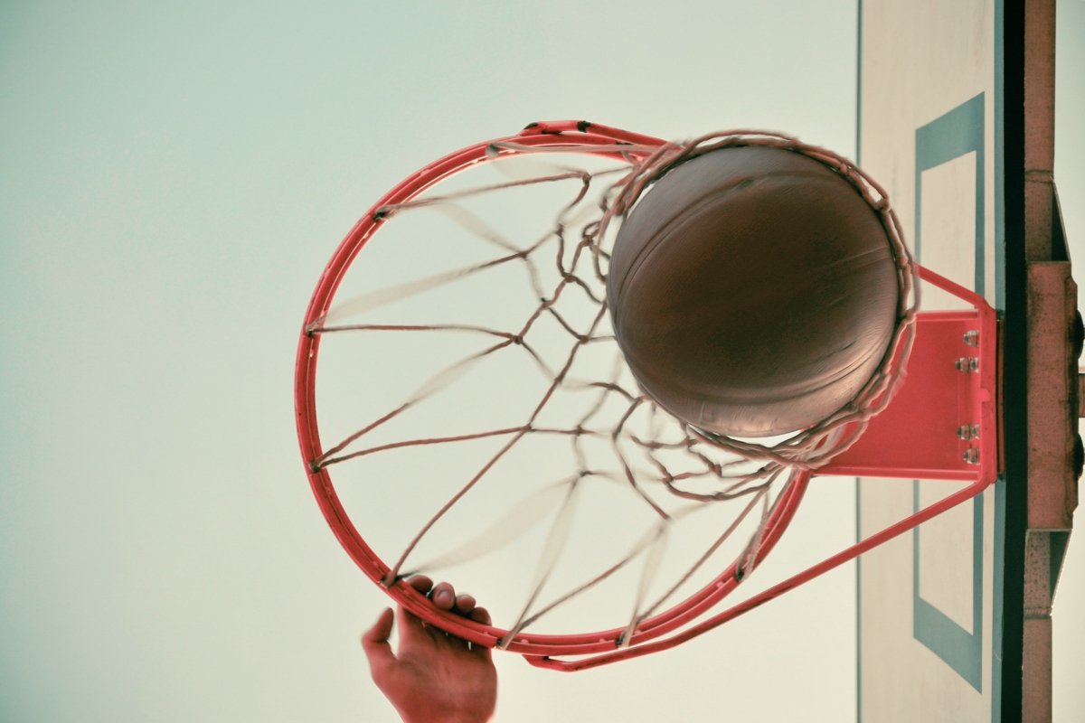BBallsInstaller's tweet photo. Preparation Tips For Homeowners Prior To Inground Basketball Installation
https://t.co/SzyPOjY2qb
#BasketballsInstallers #installation #indoorbasketball #basket #basketball #baskethoop #newbasketballhoop #ball #basketballislife #repair #basketballtime #basket #outdoorassembl https://t.co/Vitz6SuQCW