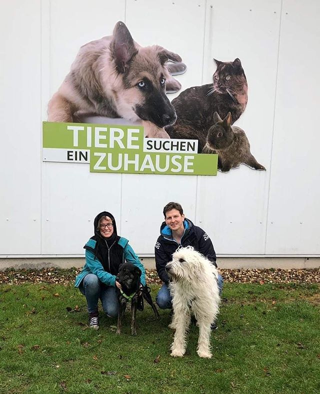 Ziwa und Mila waren heute mit Anhang mal im Rheinland unterwegs🤡.
Bewegte Bilder dazu gibt's am 24. März um 18.15 Uhr im WDR. instagram.com/p/Bu_3wjbBMz5/