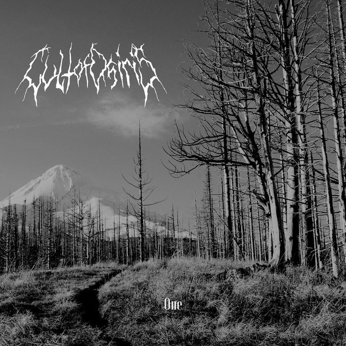 Dsbm лес. Atmospheric black metal обложки. альбомы атмосферик блэк. атмосферик black metal. депрессивный блэк метал.