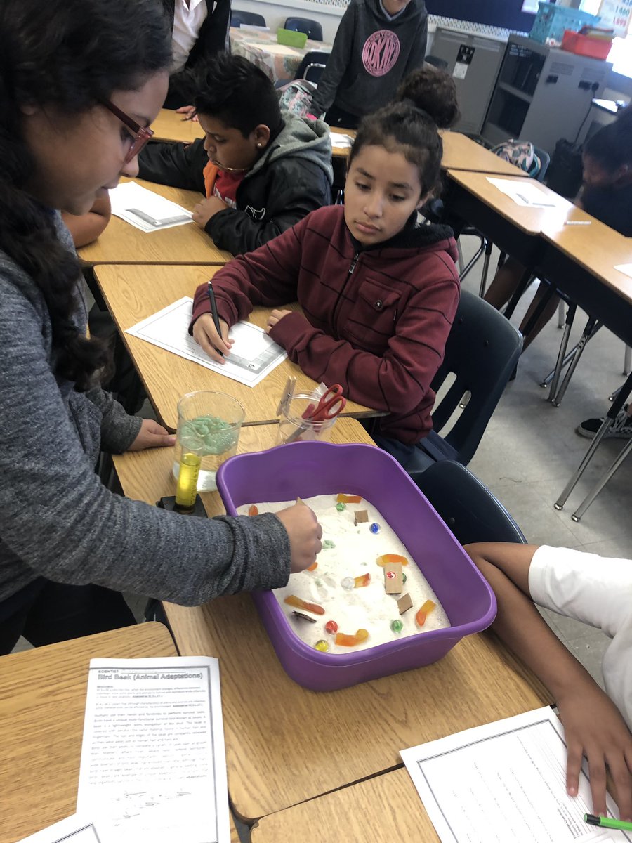 r_smith_live's tweet photo. Learning about bird beaks and how their beaks are a essential to their survival. #Animaladaptations #ScineceRocks #MDCPS @BroadmoorSchool @MDCPSTitleI https://t.co/h02N4v0t7a