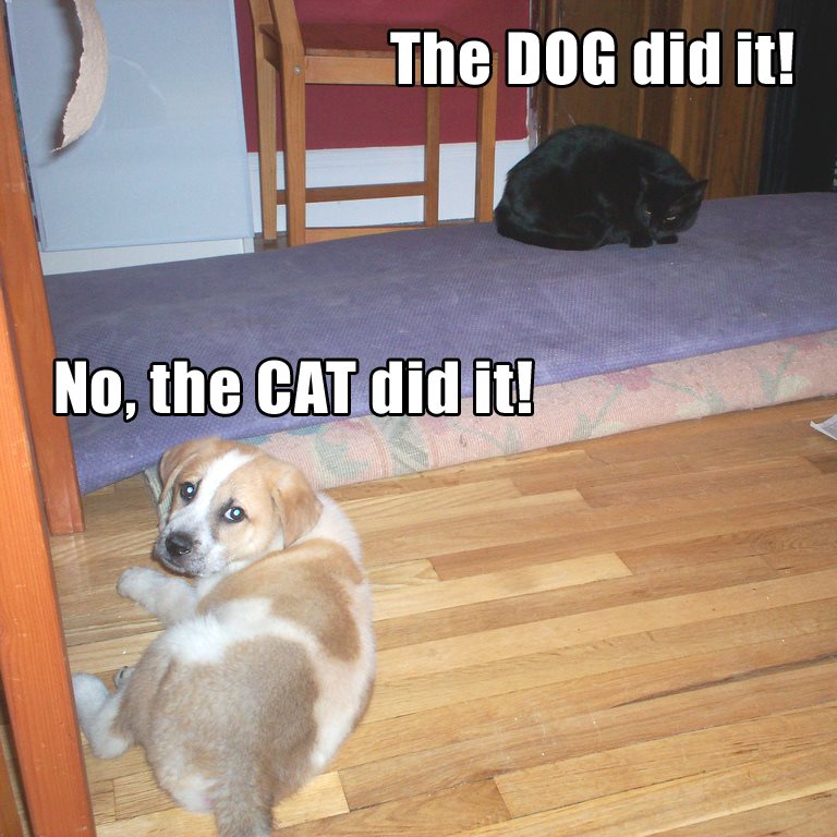 cccarpetcleaner's tweet photo. Whoever it was, give us a call, we can help!
#petstains #carpetcleaning https://t.co/THthetfmVG