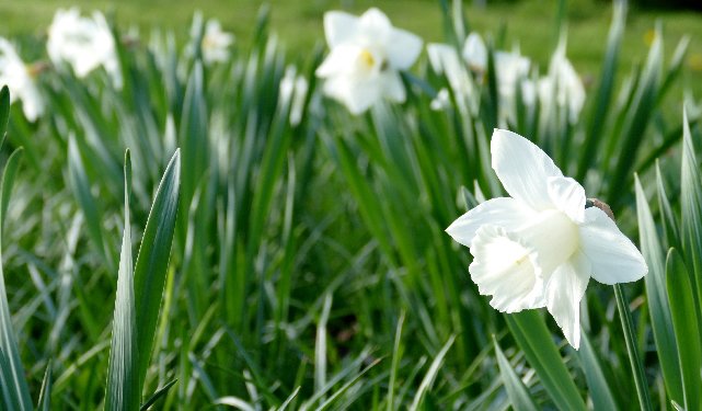 umbrella_co_uk's tweet image. How does the Spring Statement affect contractors? Here’s a quick breakdown of the most important issues for the sector. Read More: bit.ly/2HjhtSi #SpringStatement2019 #contractors #Chancellor