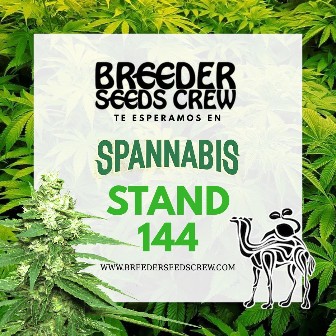 Breeder Seeds Crew tweet media