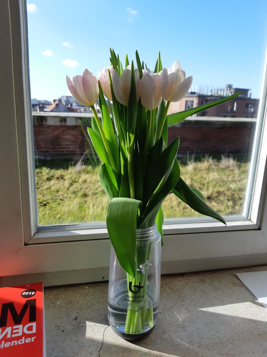 LoranStaq's tweet image. Een dikke merci aan alle @masterMPC&apos;ers om me in de bloemetjes te zetten! 🌸 Mijn drinkbus van @UAntwerpen blijkt de perfecte vaas. #mastermpc #bestestudenten