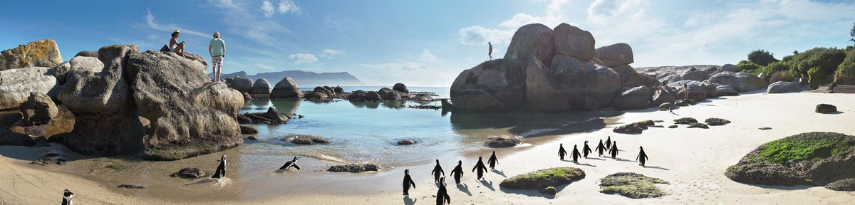 SouthAfrica's tweet photo. @AlexisRenG We'd love to have you! There's plenty of beach to go around and the weather is just lovely this time of year! #MeetSouthAfrica 🌞 https://t.co/lCgFBYHA5q