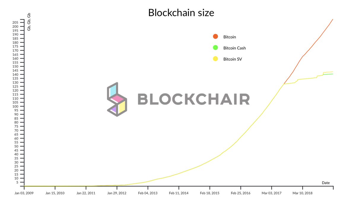 A New Day Size Chart