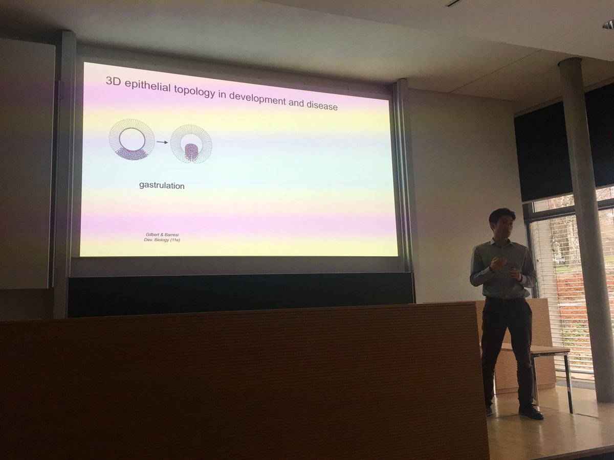 MOSAIC Group (@mosaicgroup1) on Twitter photo Topology and morphogenesis coming together in Keisuke Ishihara’s Talk <a href="/imsmconference/">Image-based Modeling + Simulation of Morphogenesis</a> from <a href="/csbdresden/">Center for Systems Biology Dresden</a> #imsm19 Topology and morphogenesis coming together in Keisuke Ishihara’s Talk <a href="/imsmconference/">Image-based Modeling + Simulation of Morphogenesis</a> from <a href="/csbdresden/">Center for Systems Biology Dresden</a> #imsm19