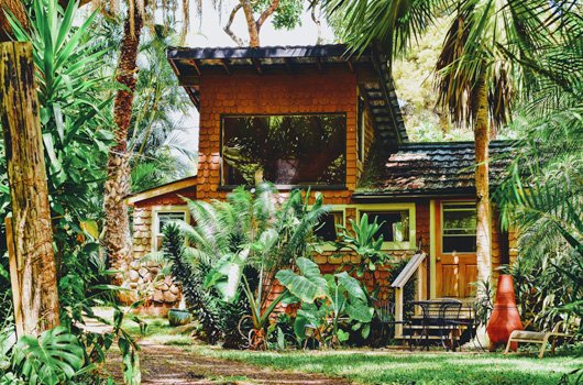 Weedguide tweet media