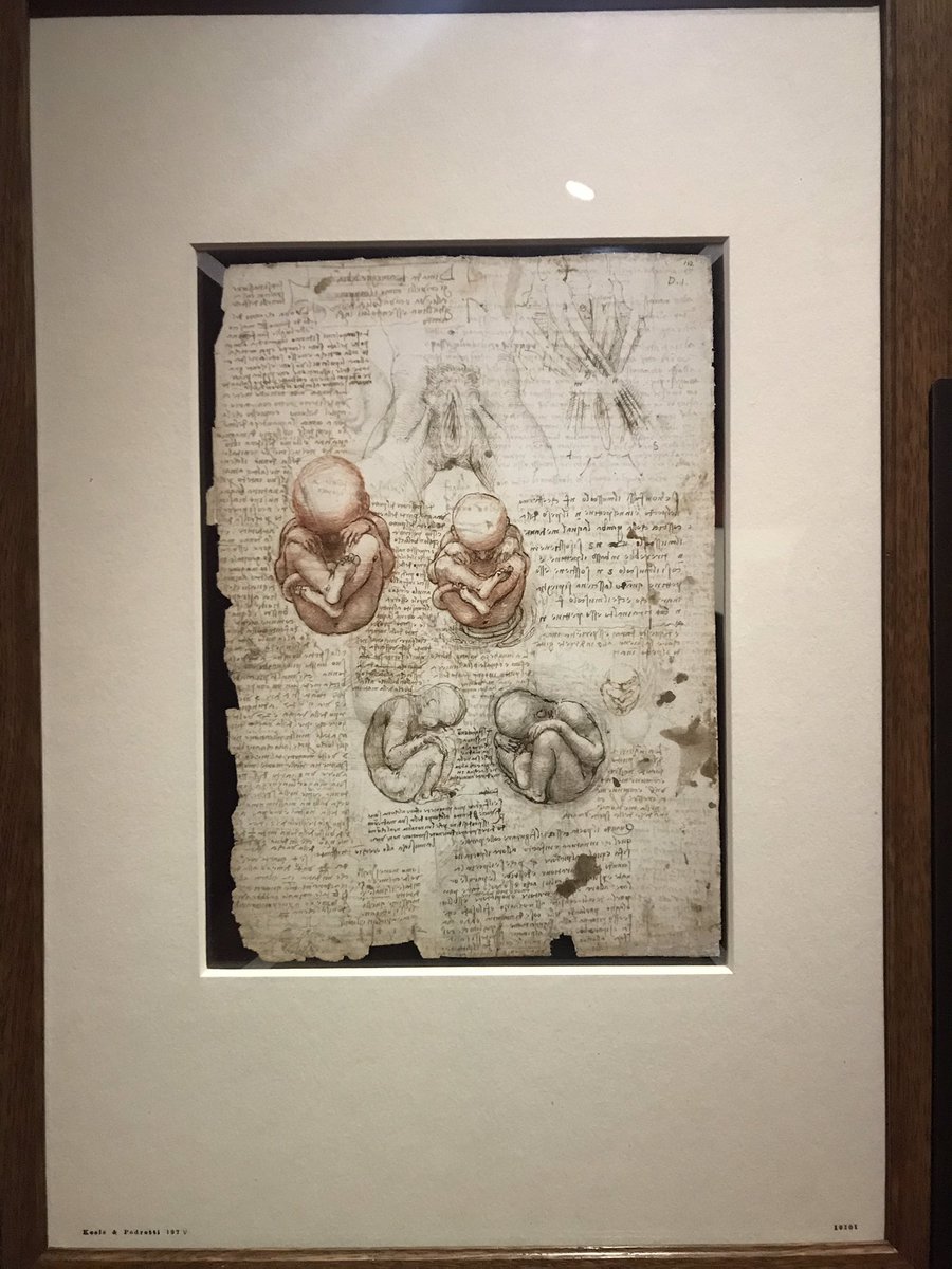 Chloe_BeMySelf's tweet image. That’s how a great master studied the human body structure. 

#leonardodavinci #bodystructure #lifedrawing