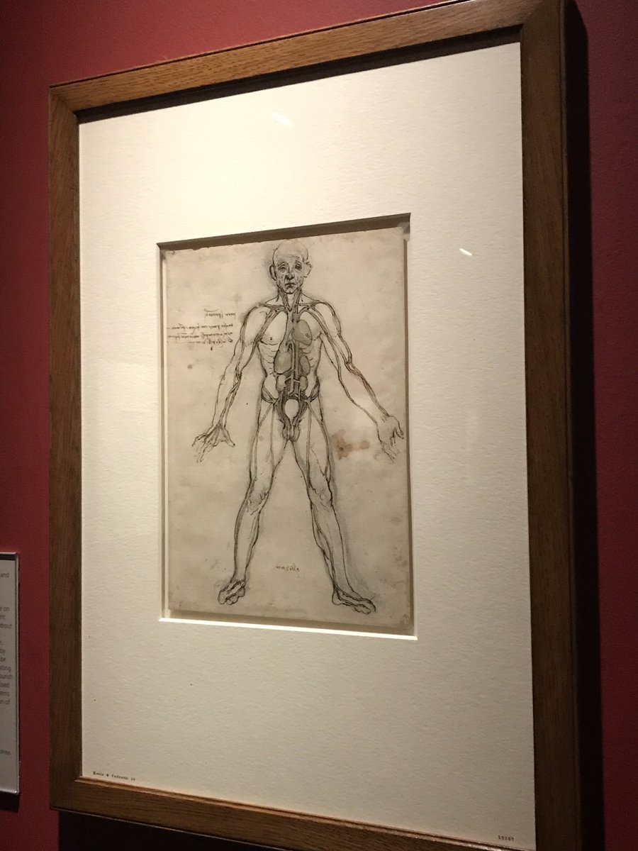 Chloe_BeMySelf's tweet image. That’s how a great master studied the human body structure. 

#leonardodavinci #bodystructure #lifedrawing