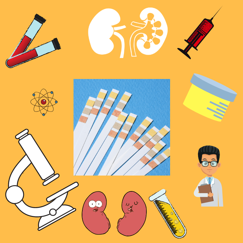OTSinfo's tweet photo. Today is #WorldKidneyDay, your kidneys are vital! 

Kidney Diseases affect approximately 850 million people worldwide (1 in 10). 

Share to raise #awareness of kidney disease ! https://t.co/ECbDoBfvrA