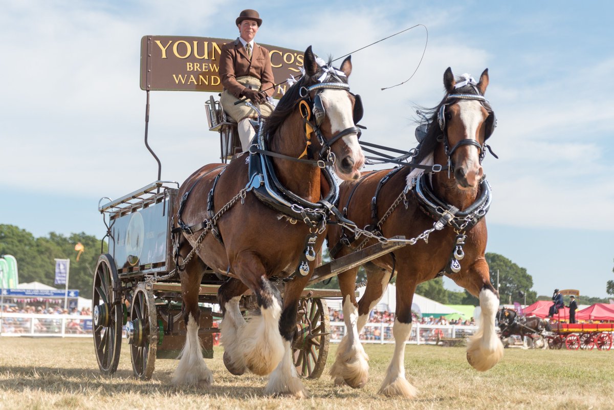 Tickets for the 2019 New Forest Show are now available to buy online via our website: bit.ly/2F3N3j8 Join us for a celebration of country life this summer on 30th, 31st July &amp; 1st August #newforest #hampshire #countyshow