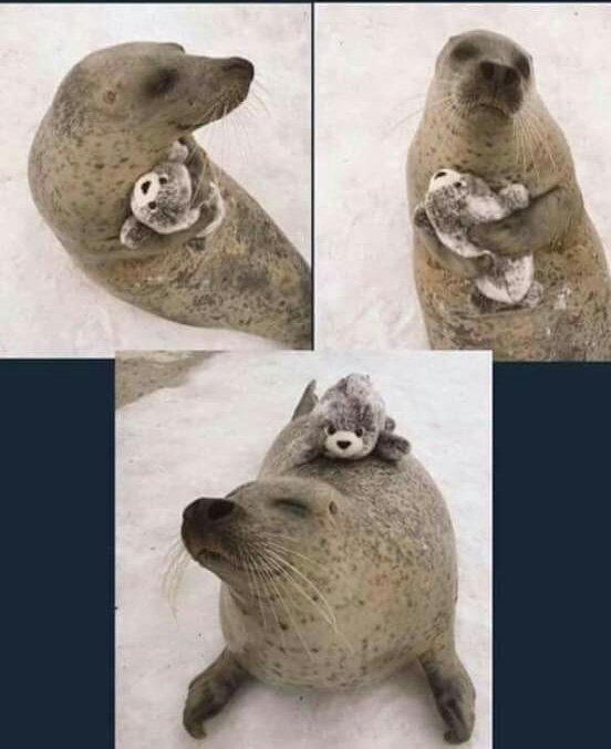 Nos pueden ayudar con 10 Rts para entrar a <a href="/RaptorsLeague/">Raptors League</a>.❤